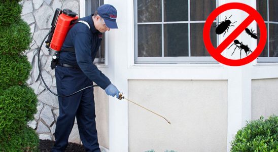 Çandır Kemirgen İlaçlama böcek ilaçlama ve haşere kontrolü — ilaclama-tr.com